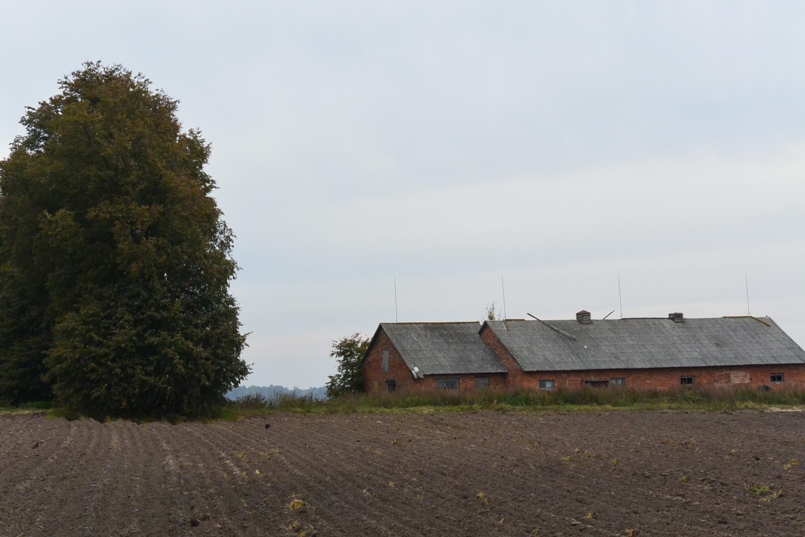 Jagminiškių kaimas. Grigų buvęs tvartas