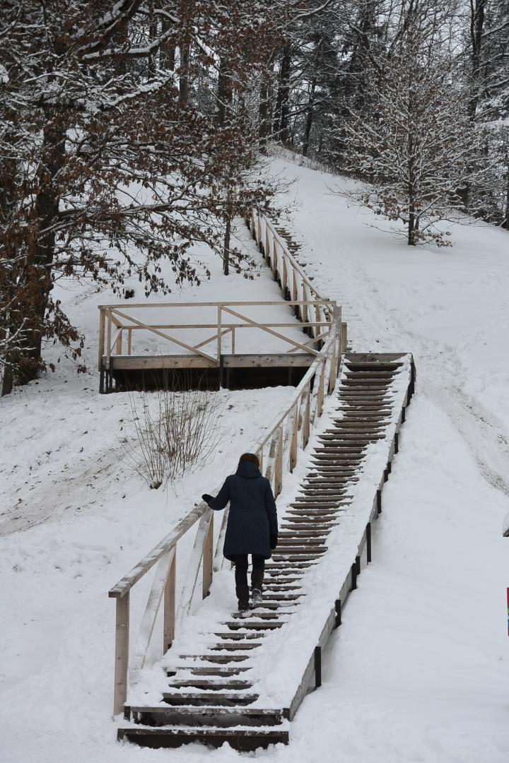 Ringovės piliakalnis